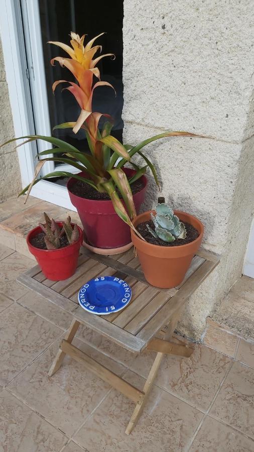 Nezignan Paradisio מראה חיצוני תמונה